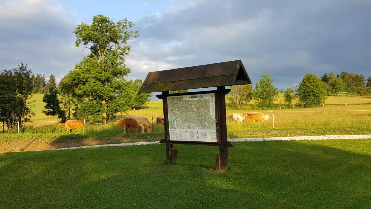 Knezice 25, V Krkonosich *