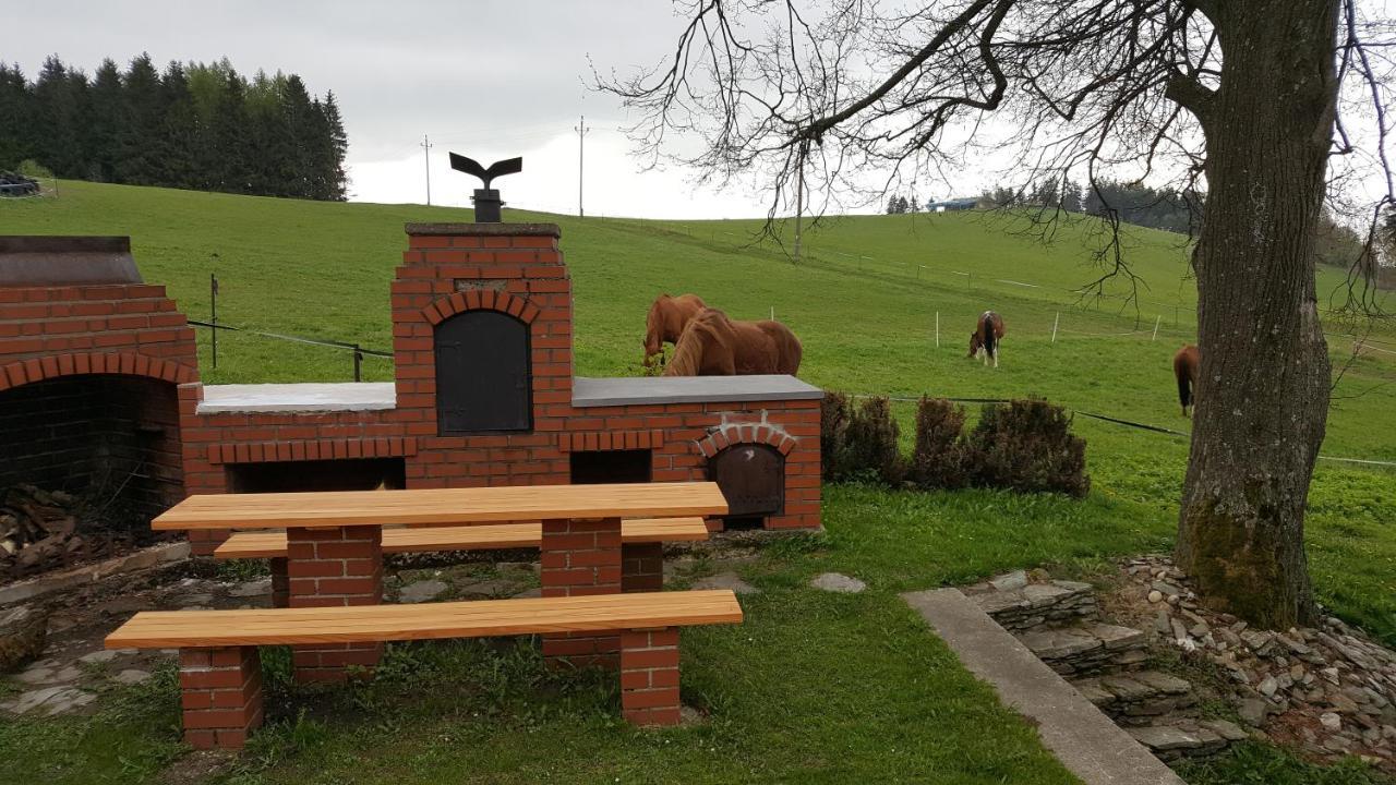 Knezice 25, V Krkonosich Holiday home Vrchlabi